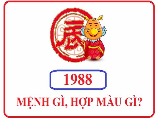 sinh-nam-1988-hop-mau-gi