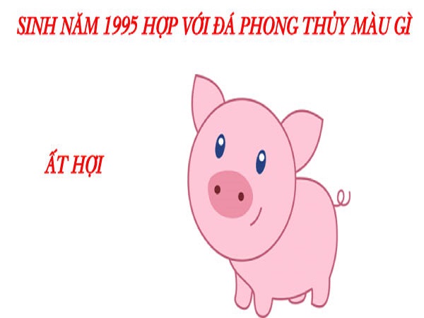 sinh-nam-1995-hop-mau-gi