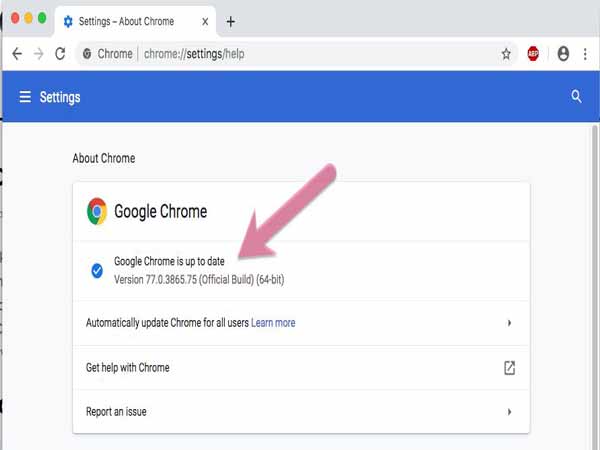 Đặc điểm của Google Chrome online installer
